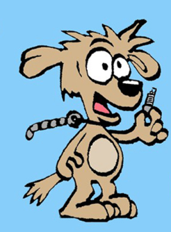 Crazy Willie